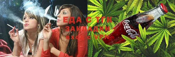 стаф Осинники