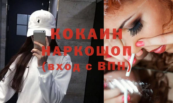 спиды Пересвет