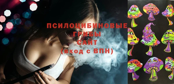 стаф Осинники