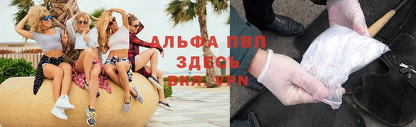 гашик Тихвин