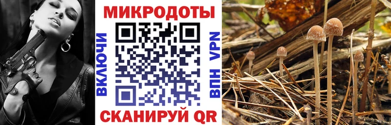 Псилоцибиновые грибы MAGIC MUSHROOMS цены Уяр